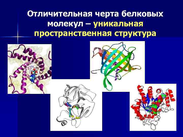 Отличительная черта белковых молекул – уникальная пространственная структура 28 