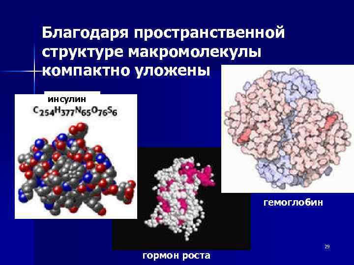 Благодаря пространственной структуре макромолекулы компактно уложены инсулин гемоглобин гормон роста 29 