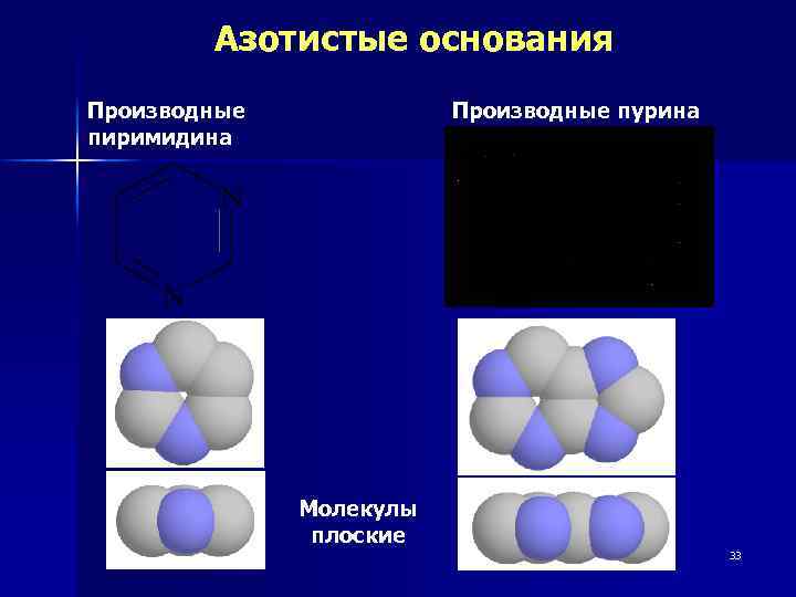 Азотистые основания Производные пиримидина Производные пурина Молекулы плоские 33 