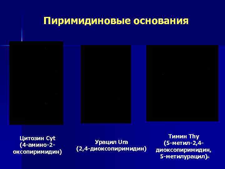 Пиримидиновые основания Цитозин Cyt (4 -амино-2 оксопиримидин) Урацил Ura (2, 4 -диоксопиримидин) Тимин Thy