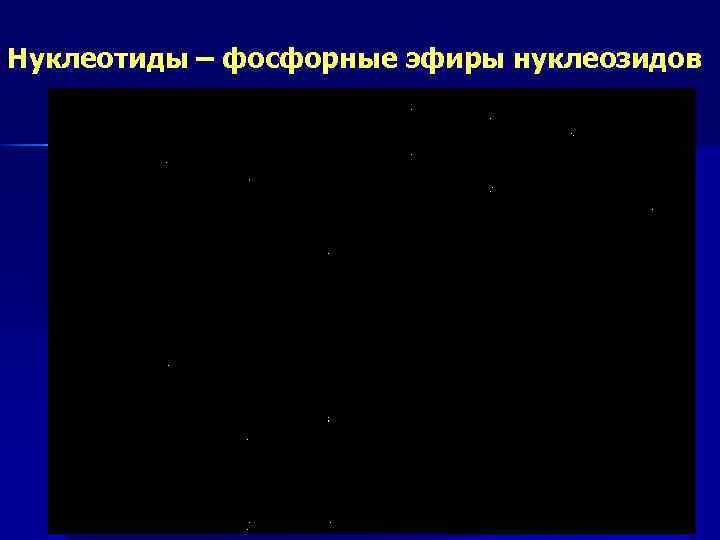 Нуклеотиды – фосфорные эфиры нуклеозидов 44 