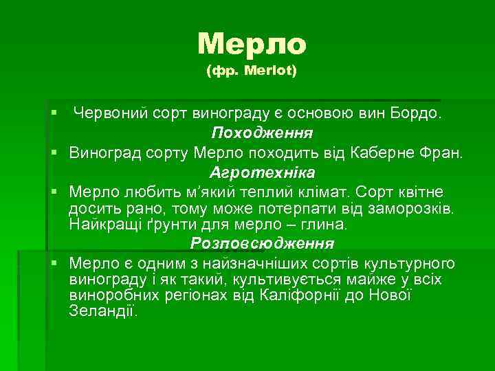 Мерло (фр. Merlot) § Червоний сорт винограду є основою вин Бордо. Походження § Виноград