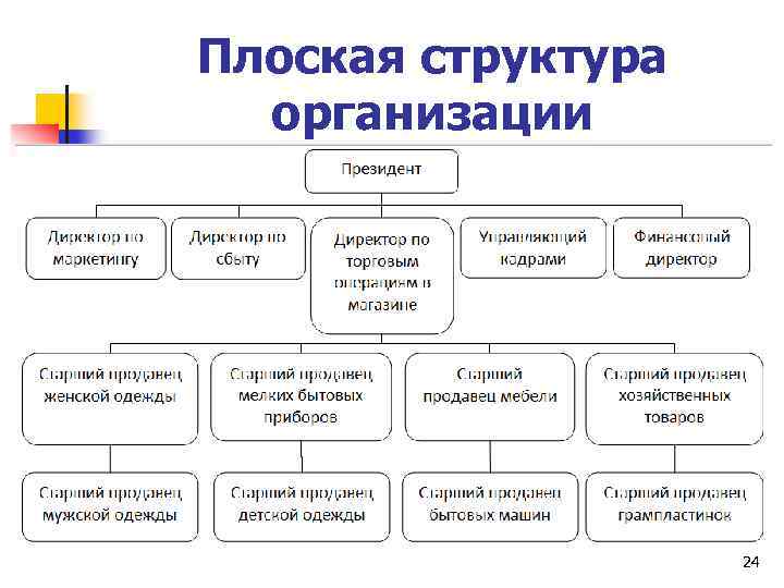 Плоская структура организации 24 