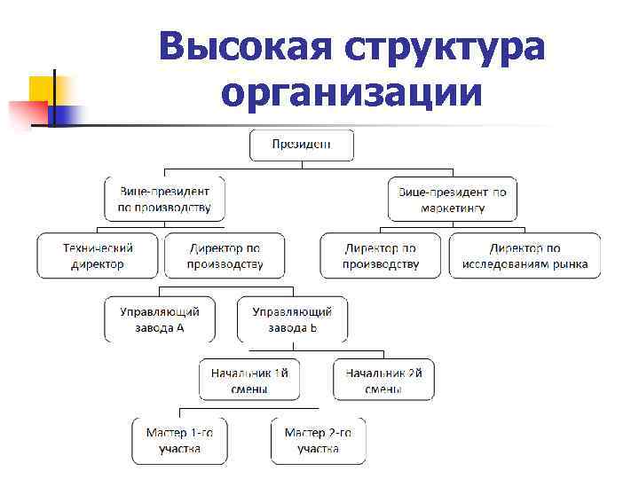 Высокая структура организации 25 