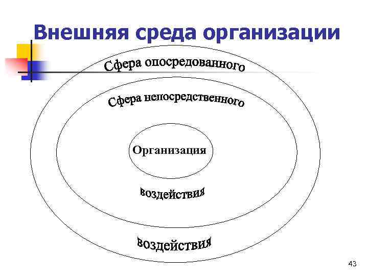 Внешняя среда организации Организация 43 