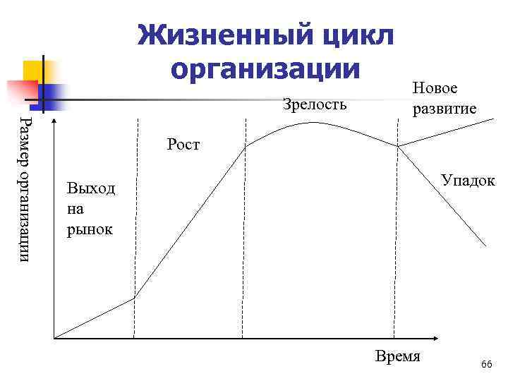 Жизненный цикл организации Зрелость Размер организации Новое развитие Рост Упадок Выход на рынок Время