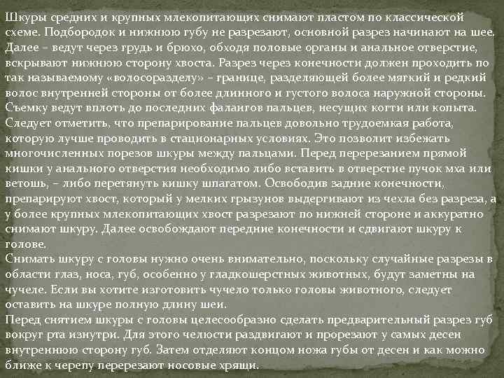 Шкуры средних и крупных млекопитающих снимают пластом по классической схеме. Подбородок и нижнюю губу