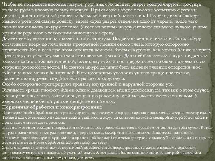 Чтобы не повредить носовые пазухи, у крупных копытных разрез контролируют, просунув пальцы руки в