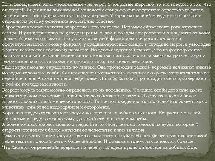 Если самец имеет рога, «посаженные» на череп и покрытые шерстью, то это говорит о