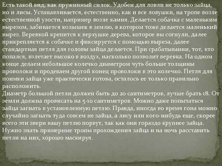 Есть такой вид, как пружинный силок. Удобен для ловли не только зайца, но и