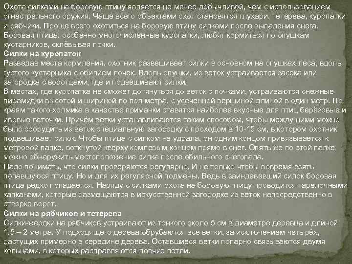 Охота силками на боровую птицу является не менее добычливой, чем с использованием огнестрельного оружия.