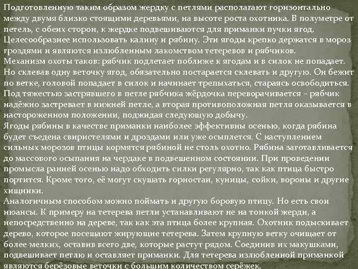 Подготовленную таким образом жердку с петлями располагают горизонтально между двумя близко стоящими деревьями, на