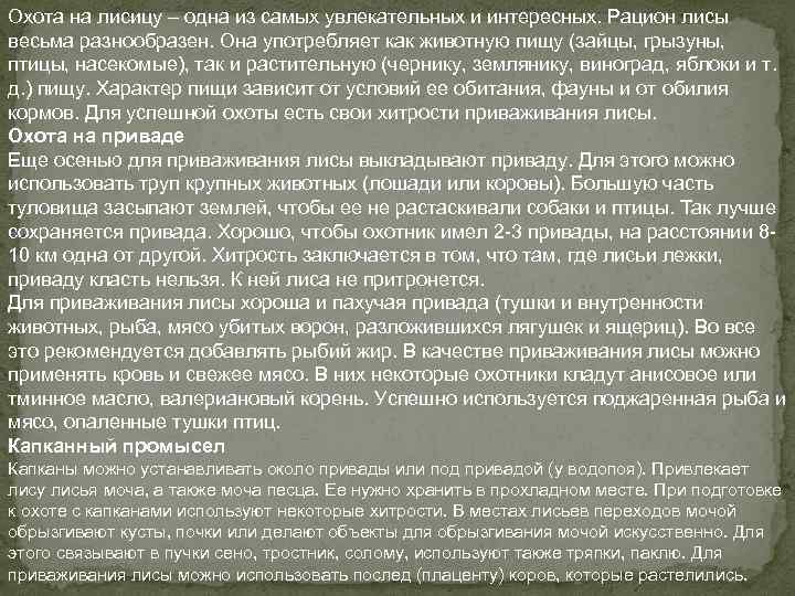 Охота на лисицу – одна из самых увлекательных и интересных. Рацион лисы весьма разнообразен.