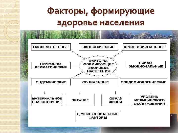 Факторы формирование человека