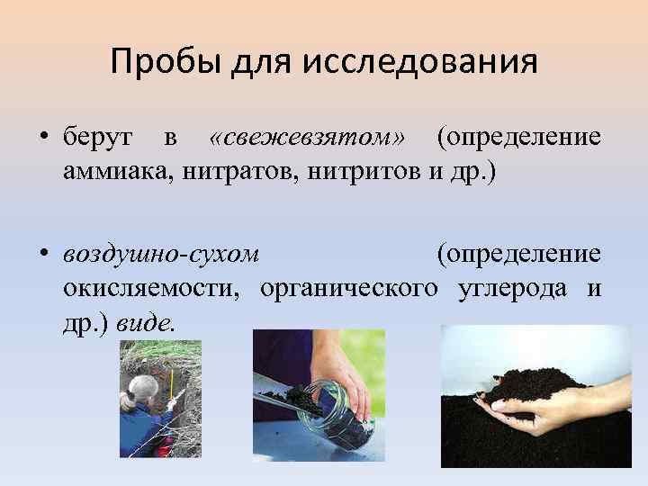 Пробы для исследования • берут в «свежевзятом» (определение аммиака, нитратов, нитритов и др. )