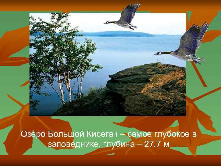 Озеро Большой Кисегач – самое глубокое в заповеднике, глубина – 27, 7 м 