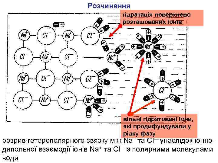 Розчинення гідратація поверхнево розташованих іонів вільні гідратовані іони, які продифундували у рідку фазу розрив