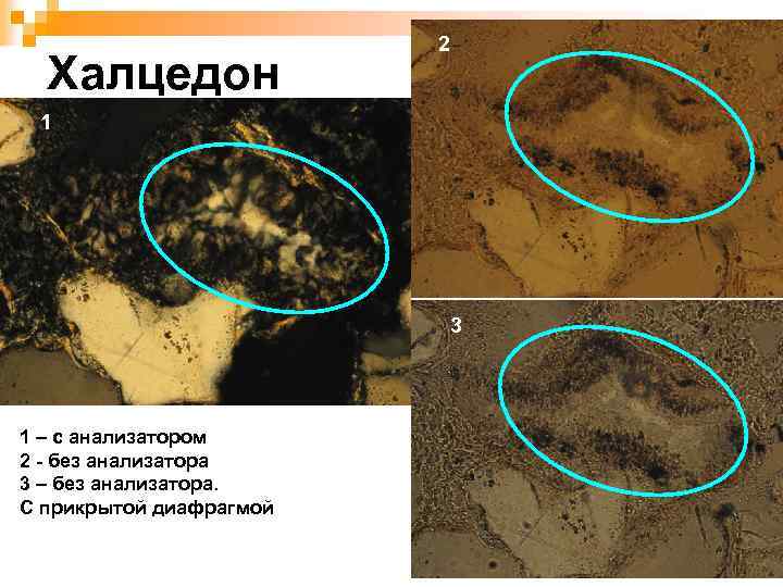 Халцедон 2 1 3 1 – с анализатором 2 - без анализатора 3 –