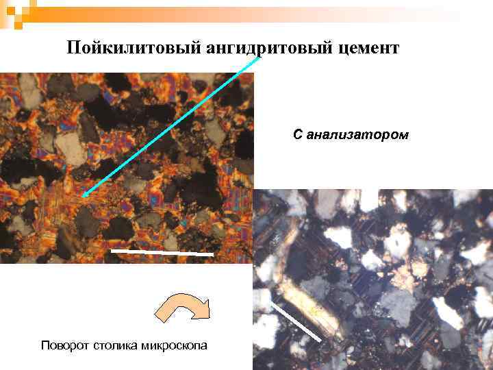 Пойкилитовый ангидритовый цемент С анализатором Поворот столика микроскопа 