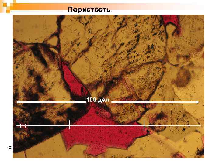 Пористость 100 дел 