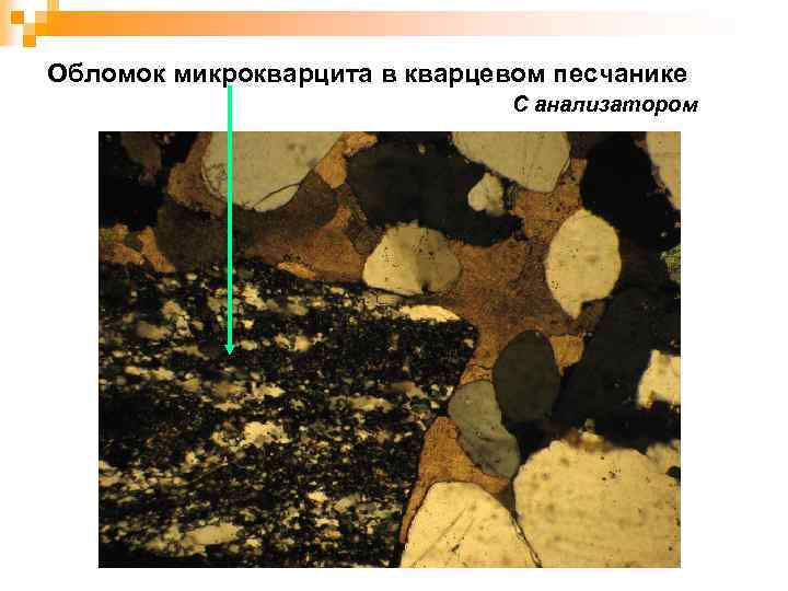 Обломок микрокварцита в кварцевом песчанике С анализатором 