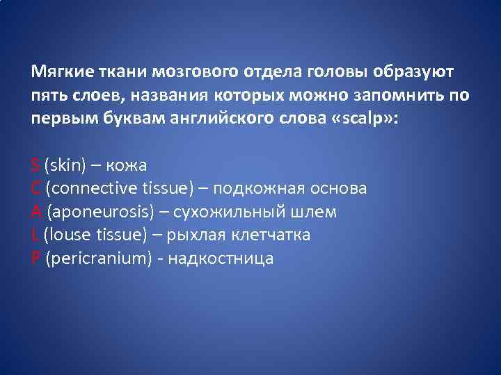 Мягкие ткани мозгового отдела головы образуют пять слоев, названия которых можно запомнить по первым