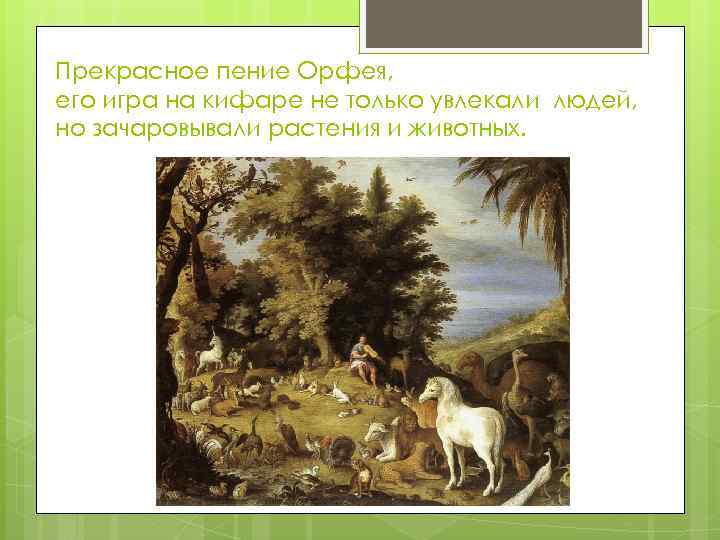 Прекрасное пение Орфея, его игра на кифаре не только увлекали людей, но зачаровывали растения