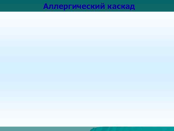 Аллергический каскад 