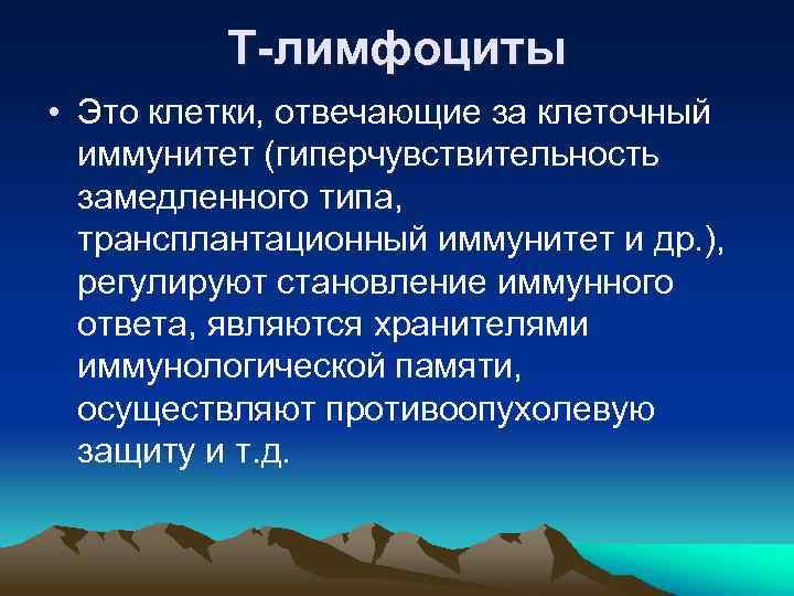 Т-лимфоциты • Это клетки, отвечающие за клеточный иммунитет (гиперчувствительность замедленного типа, трансплантационный иммунитет и