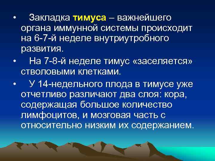  • Закладка тимуса – важнейшего органа иммунной системы происходит на 6 -7 -й