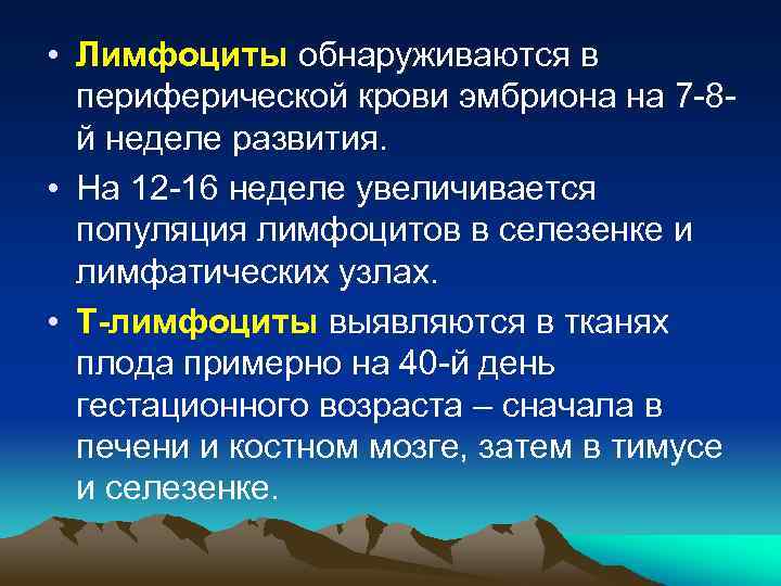  • Лимфоциты обнаруживаются в периферической крови эмбриона на 7 -8 й неделе развития.
