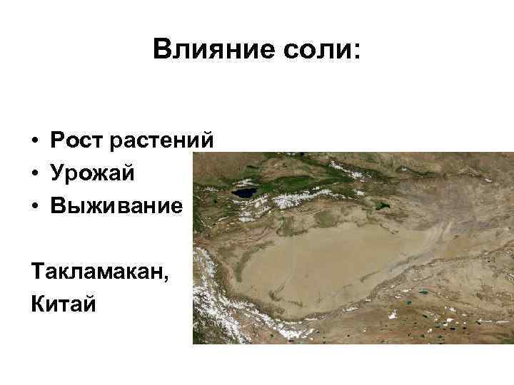 Влияние соли: • Рост растений • Урожай • Выживание Такламакан, Китай 