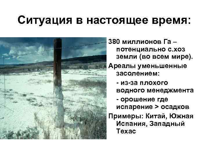 Ситуация в настоящее время: 380 миллионов Га – потенциально с. хоз земли (во всем