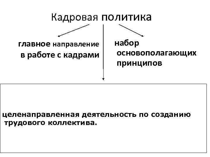 Кадровая политика главное направление набор в работе с кадрами основополагающих принципов целенаправленная деятельность по