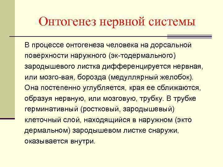 Онтогенез нервной системы В процессе онтогенеза человека на дорсальной поверхности наружного (эк тодермального) зародышевого
