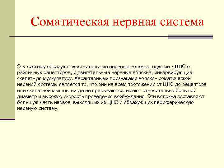 Соматическая нервная система Эту систему образуют чувствительные нервные волокна, идущие к ЦНС от различных