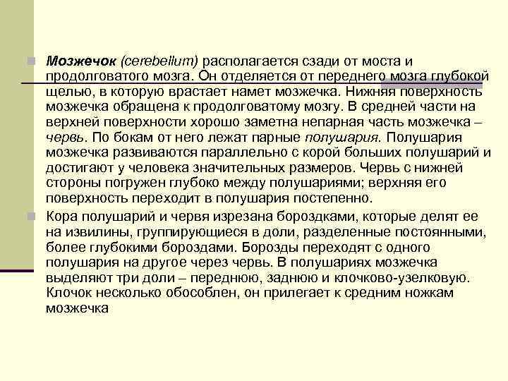n Мозжечок (cerebellum) располагается сзади от моста и продолговатого мозга. Он отделяется от переднего