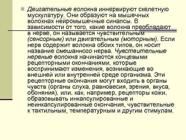n Двигательные волокна иннервируют скелетную мускулатуру. Они образуют на мышечных волокнах нейромышечные синапсы. В
