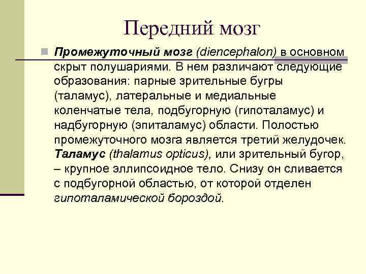 Передний мозг n Промежуточный мозг (diencephalon) в основном скрыт полушариями. В нем различают следующие