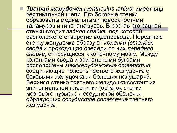 n Третий желудочек (ventriculus tertius) имеет вид вертикальной щели. Его боковые стенки образованы медиальными