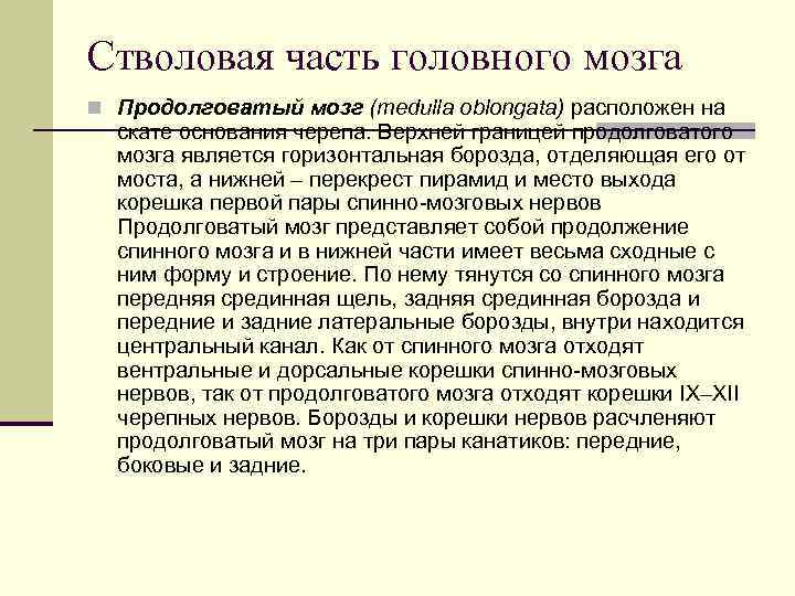 Стволовая часть головного мозга n Продолговатый мозг (medulla oblongata) расположен на скате основания черепа.