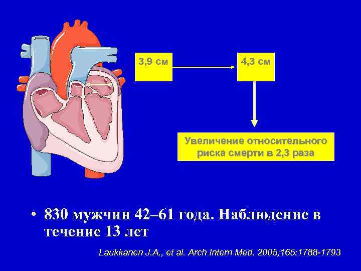 3, 9 см 4, 3 см Увеличение относительного риска смерти в 2, 3 раза