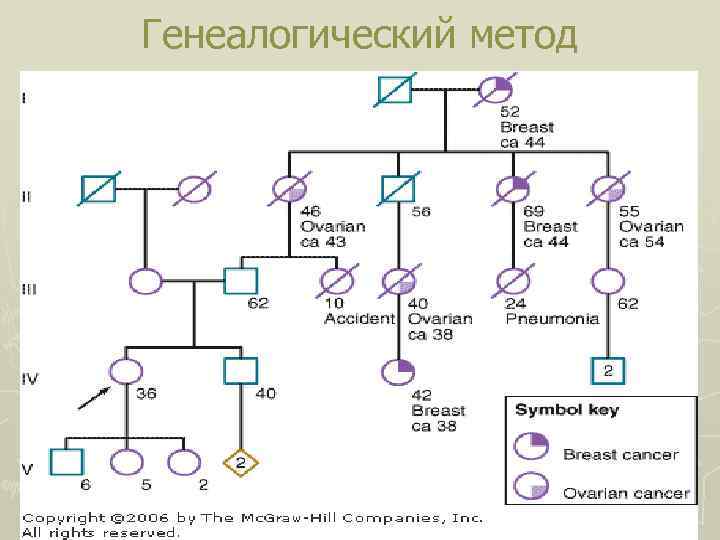 Проект генеалогический метод исследования