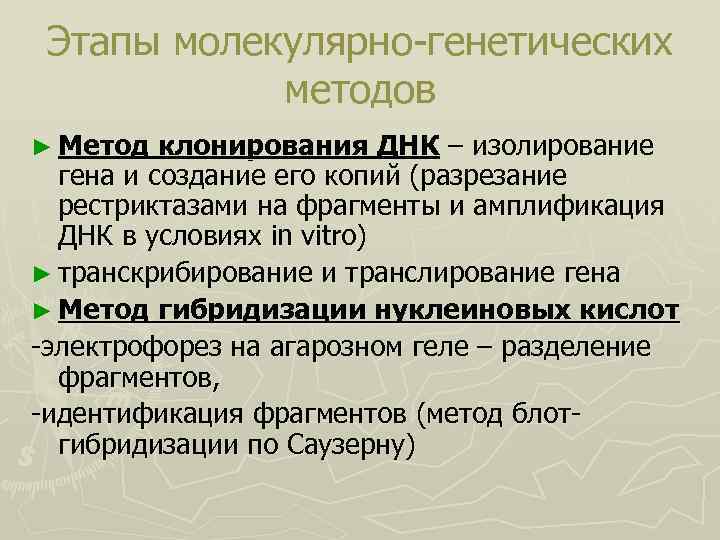 Этапы молекулярно-генетических методов ► Метод клонирования ДНК – изолирование гена и создание его копий