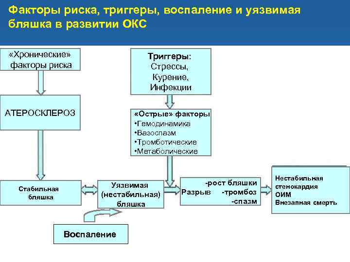 Факторы риска, триггеры, воспаление и уязвимая бляшка в развитии ОКС «Хронические» факторы риска Триггеры: