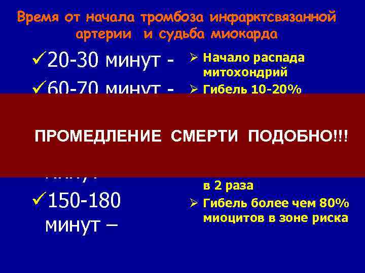 Время от начала тромбоза инфарктсвязанной артерии и судьба миокарда ü 20 -30 минут -