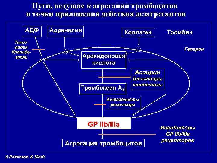 Пути, ведущие к агрегации тромбоцитов и точки приложения действия дезагрегантов ïî Peterson & Mark