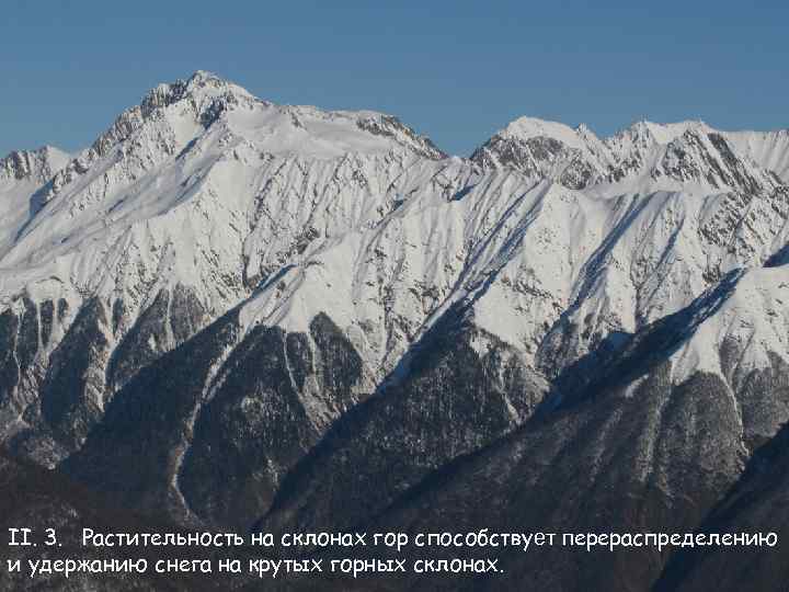 II. 3. Растительность на склонах гор способствует перераспределению и удержанию снега на крутых горных