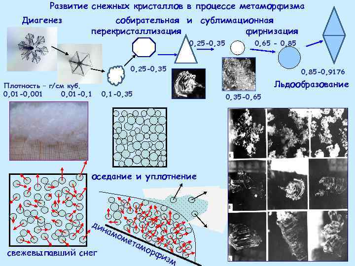 Развитие снежных кристаллов в процессе метаморфизма Диагенез собирательная и сублимационная перекристаллизация фирнизация 0, 25