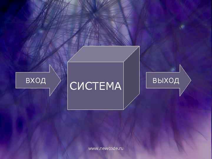 ВХОД СИСТЕМА www. newcode. ru ВЫХОД 